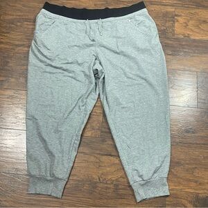 Sweat pant gray livi active by lane Bryant size 26/28